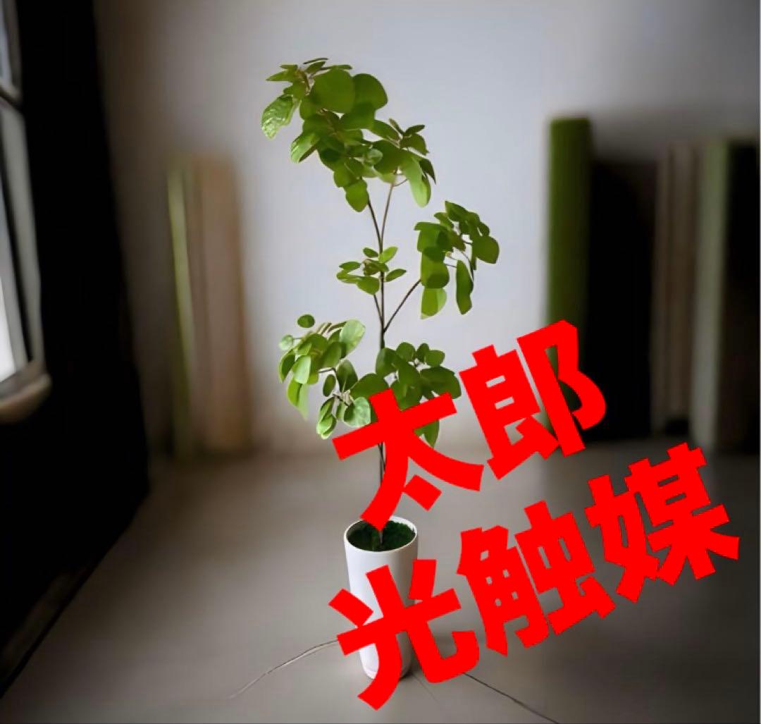 光触媒　人工観葉植物　ウォールグリーン　フェイクグリーン　ナンキンハゼ12343