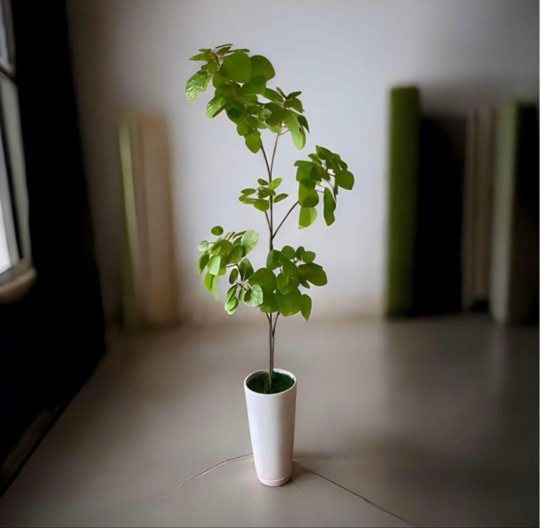 光触媒　人工観葉植物　ウォールグリーン　フェイクグリーン　ナンキンハゼ12343