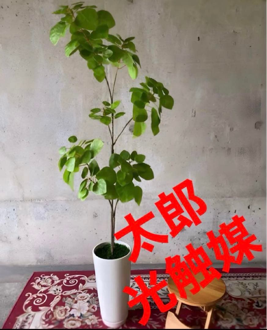 光触媒　人工観葉植物　ウォールグリーン　フェイクグリーン　ナンキンハゼ12343