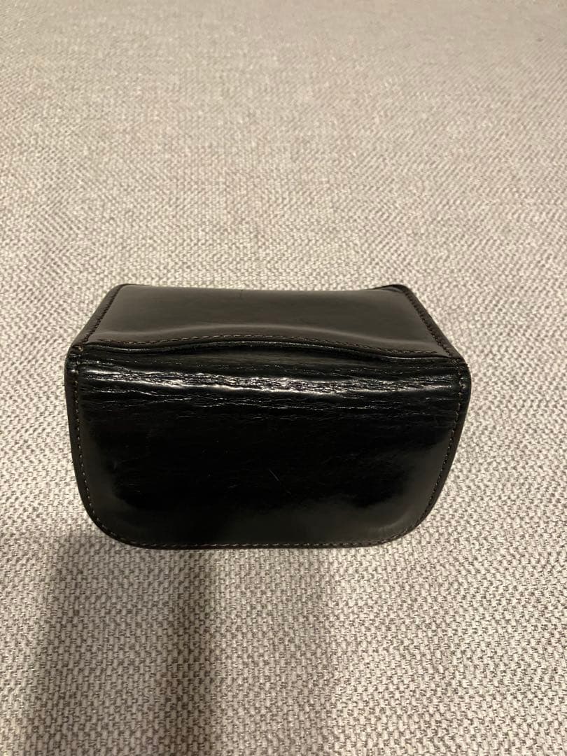 ワイルドスワンズ　タング　サドルプルアップレザー