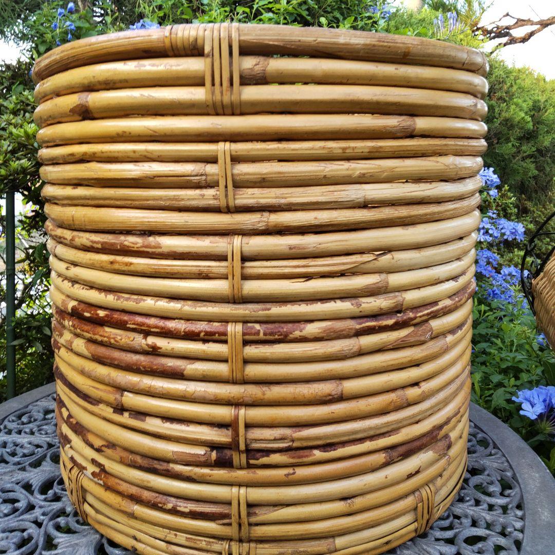 【籐バスケット♥5点商品】ラタンかご大円柱形籠ワイヤーカゴ観葉植物鉢カバー物入れ