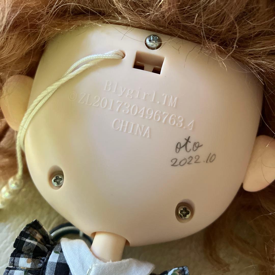 カスタムブライス