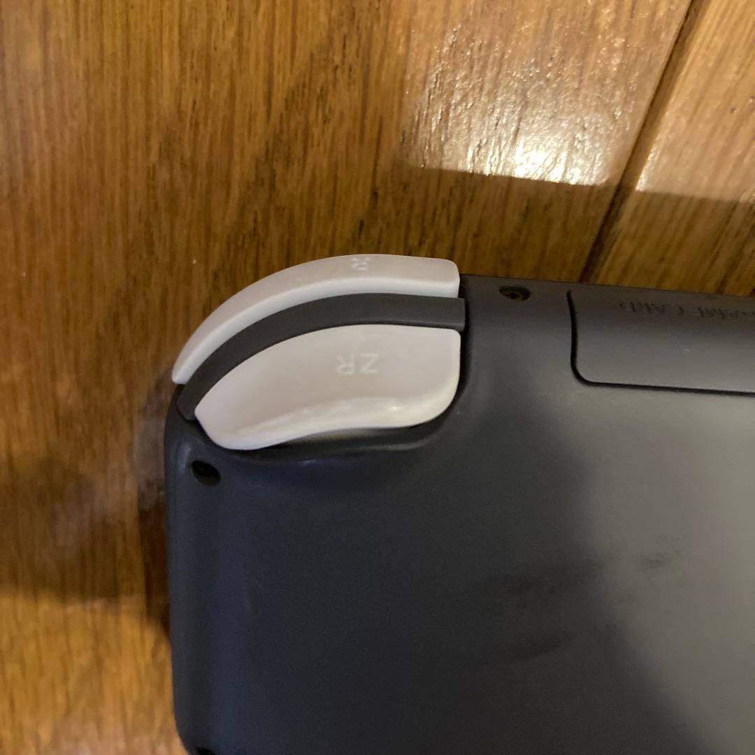 Nintendo Switch Lite グレー ➕　ケース