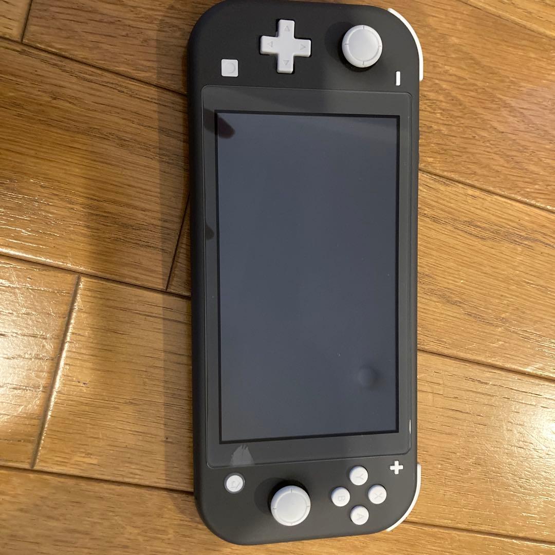 Nintendo Switch Lite グレー ➕　ケース