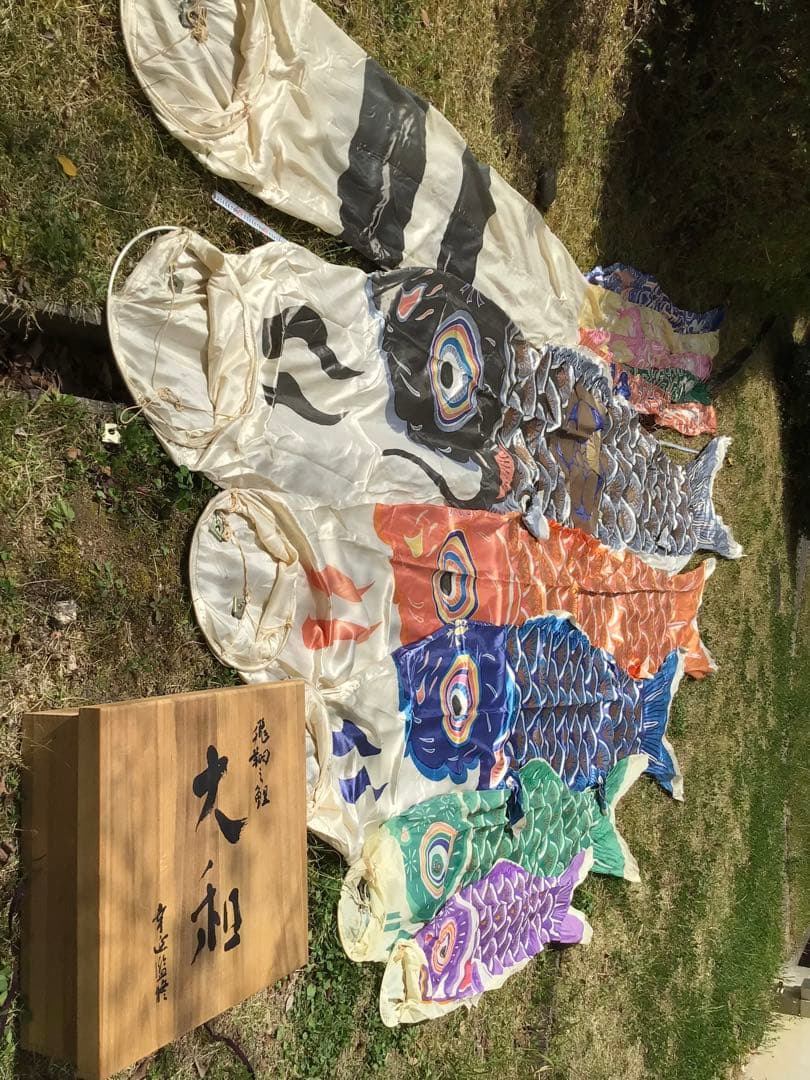 ●逸品〓旧家整理品●高級 鯉のぼり●幸正監修・飛翔之鯉『大利』6M●家紋丸に梅鉢