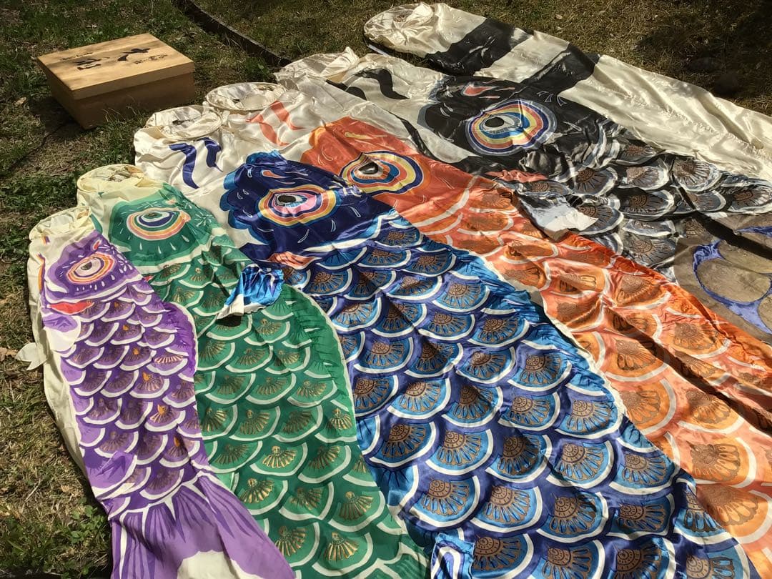 ●逸品〓旧家整理品●高級 鯉のぼり●幸正監修・飛翔之鯉『大利』6M●家紋丸に梅鉢