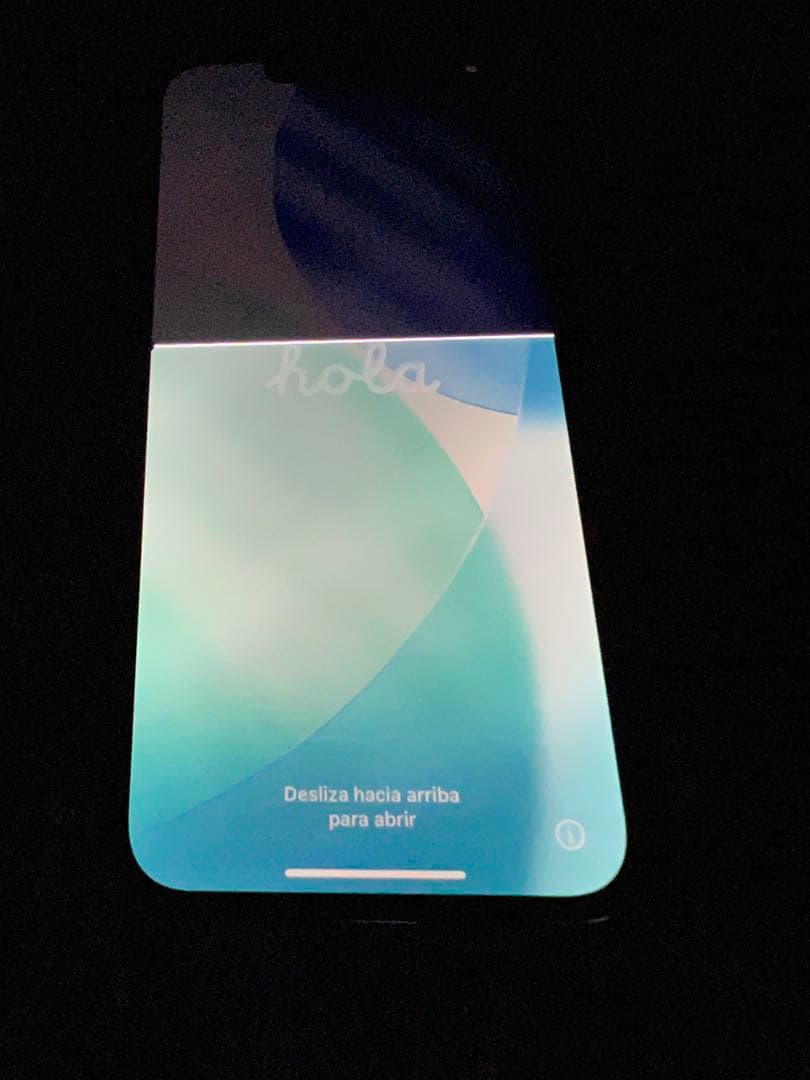 iPhone 13 Pro 256G本体画面不良