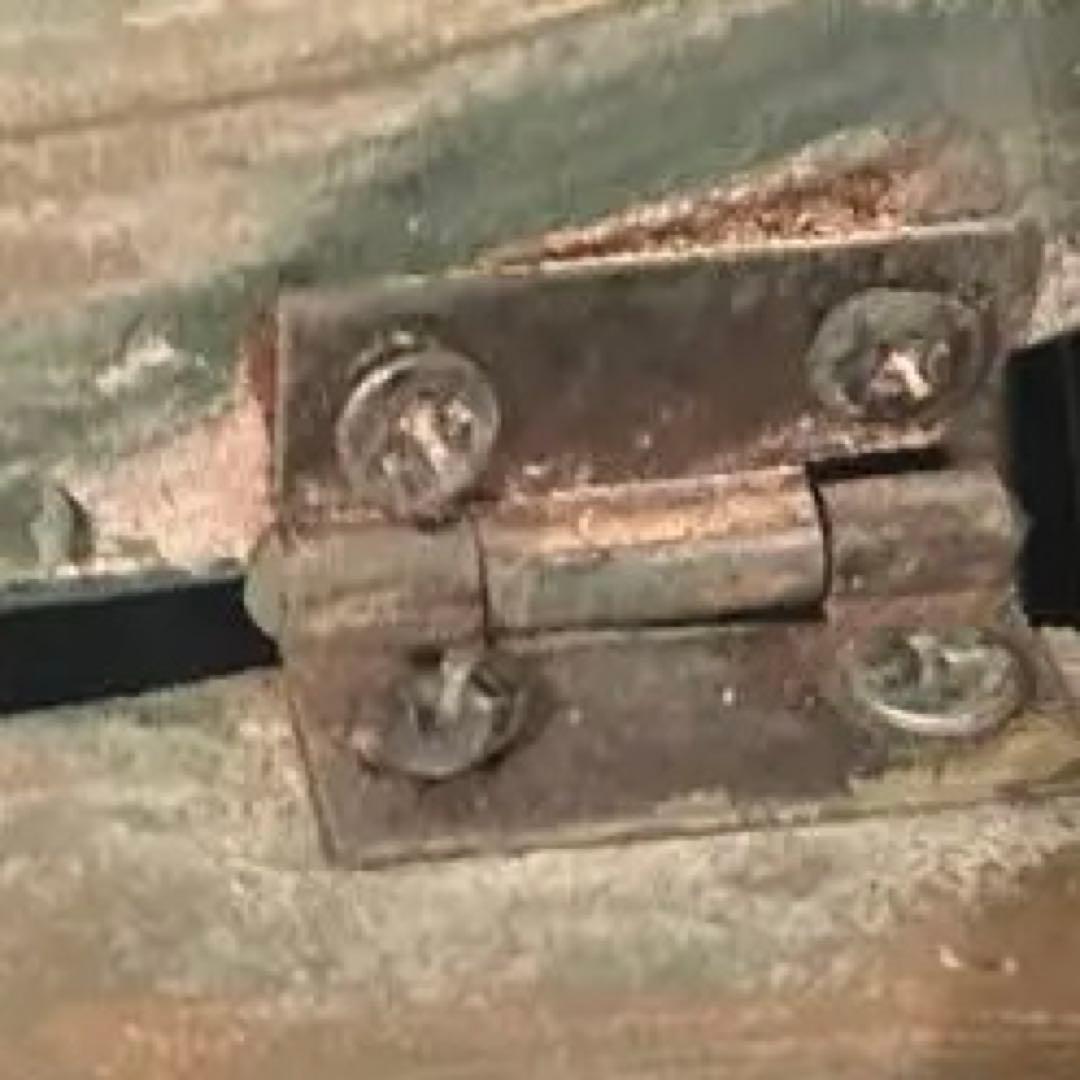 鳥籠　コンランショップ　アンティーク