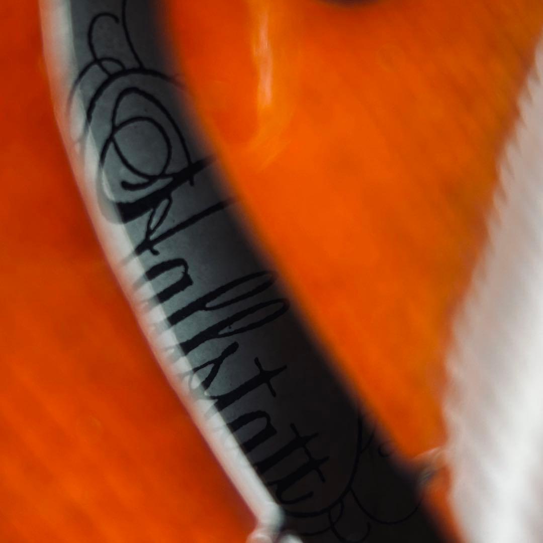 hallstatt VS-210E サイレントバイオリン エレキバイオリン