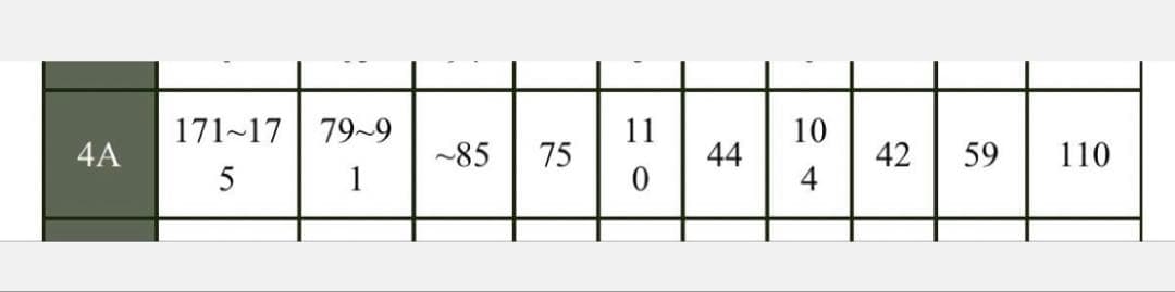 陸上自衛隊　戦闘服　4Aサイズ