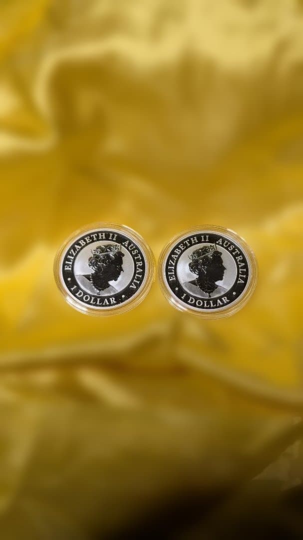し*ぴ様 オーストラリア・クッカバラ銀貨 2枚セット 2021年　1オンス