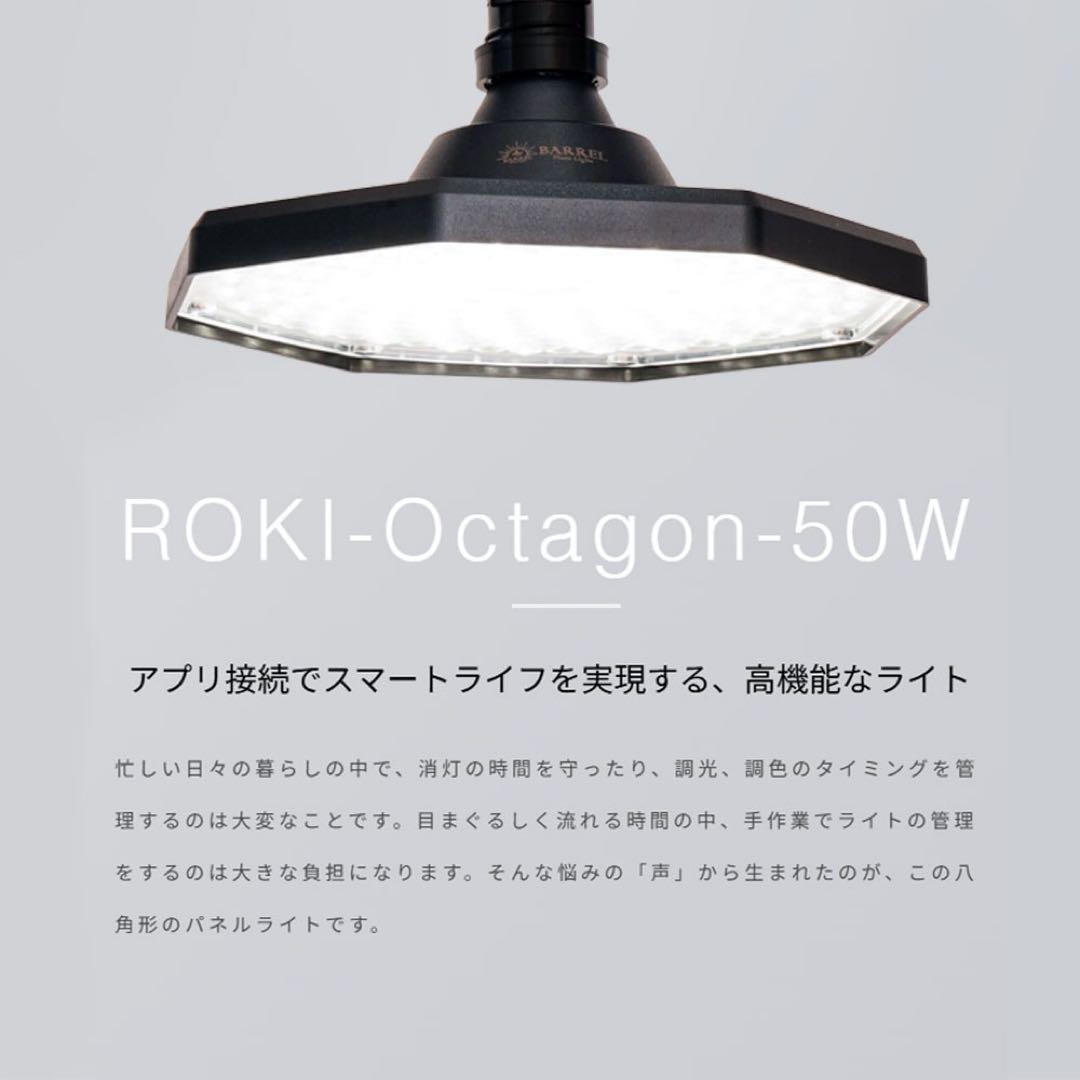 ROKI-OCTAGON-50W ロキ　オクタゴン　ブラック