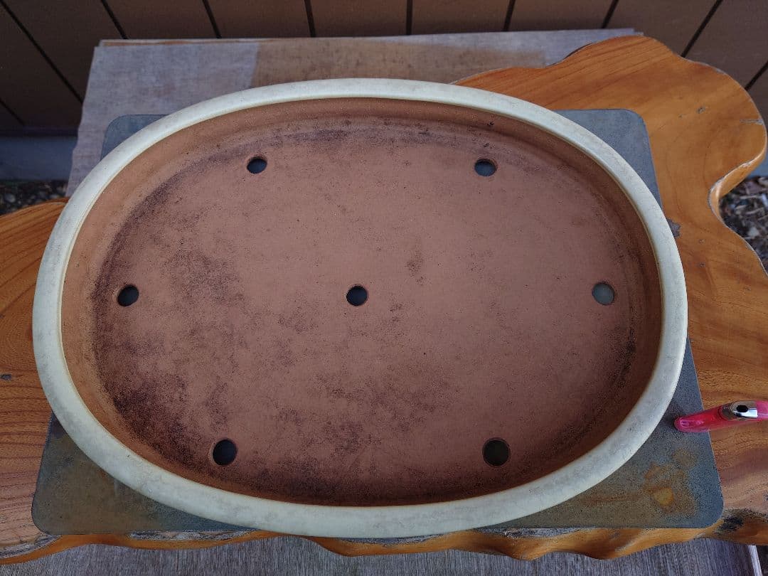 盆栽　鉢　山房　幅46.2cm