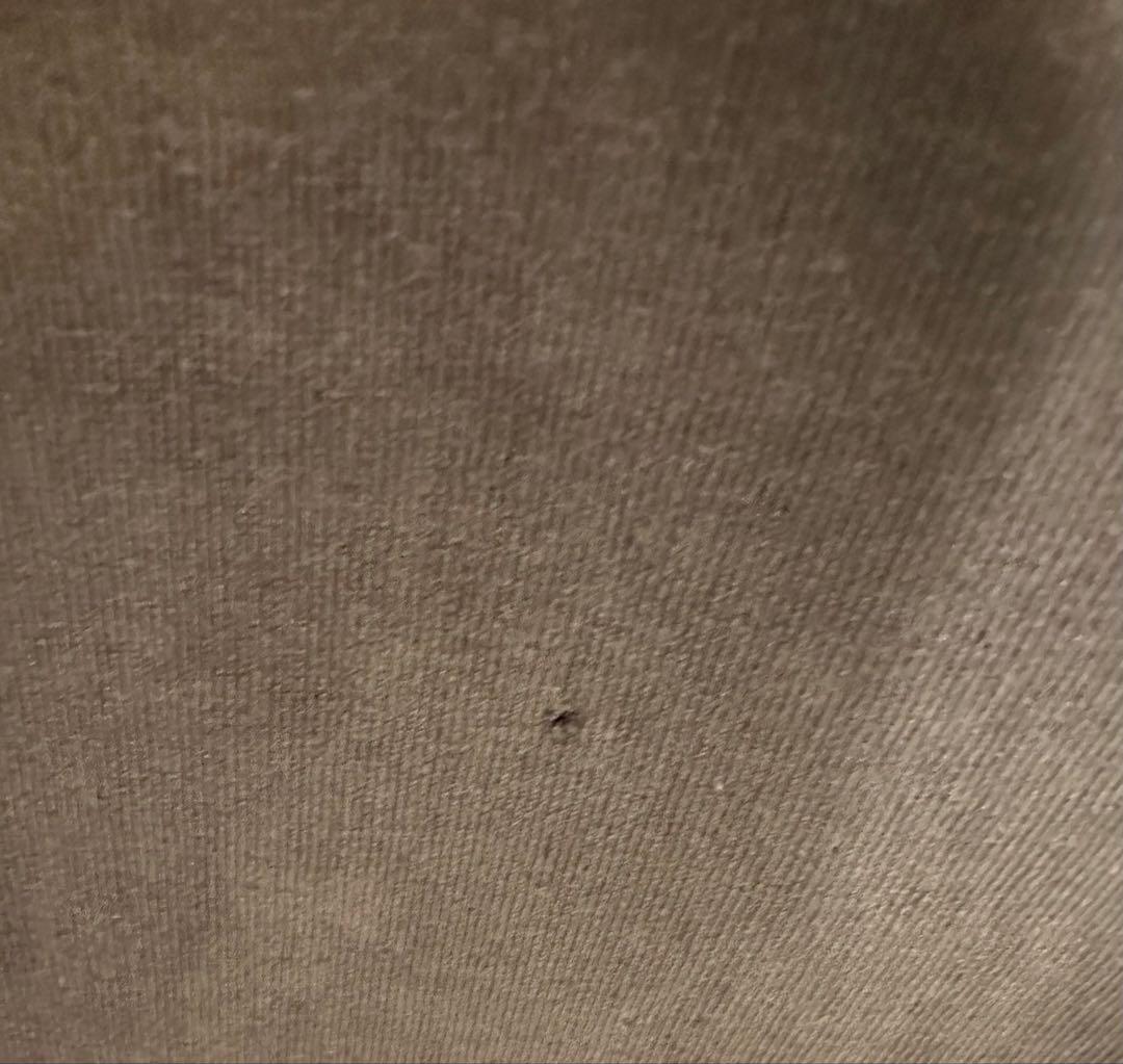 stussy ステューシー　90‘s USA製　コブラ　スネーク　Lサイズ