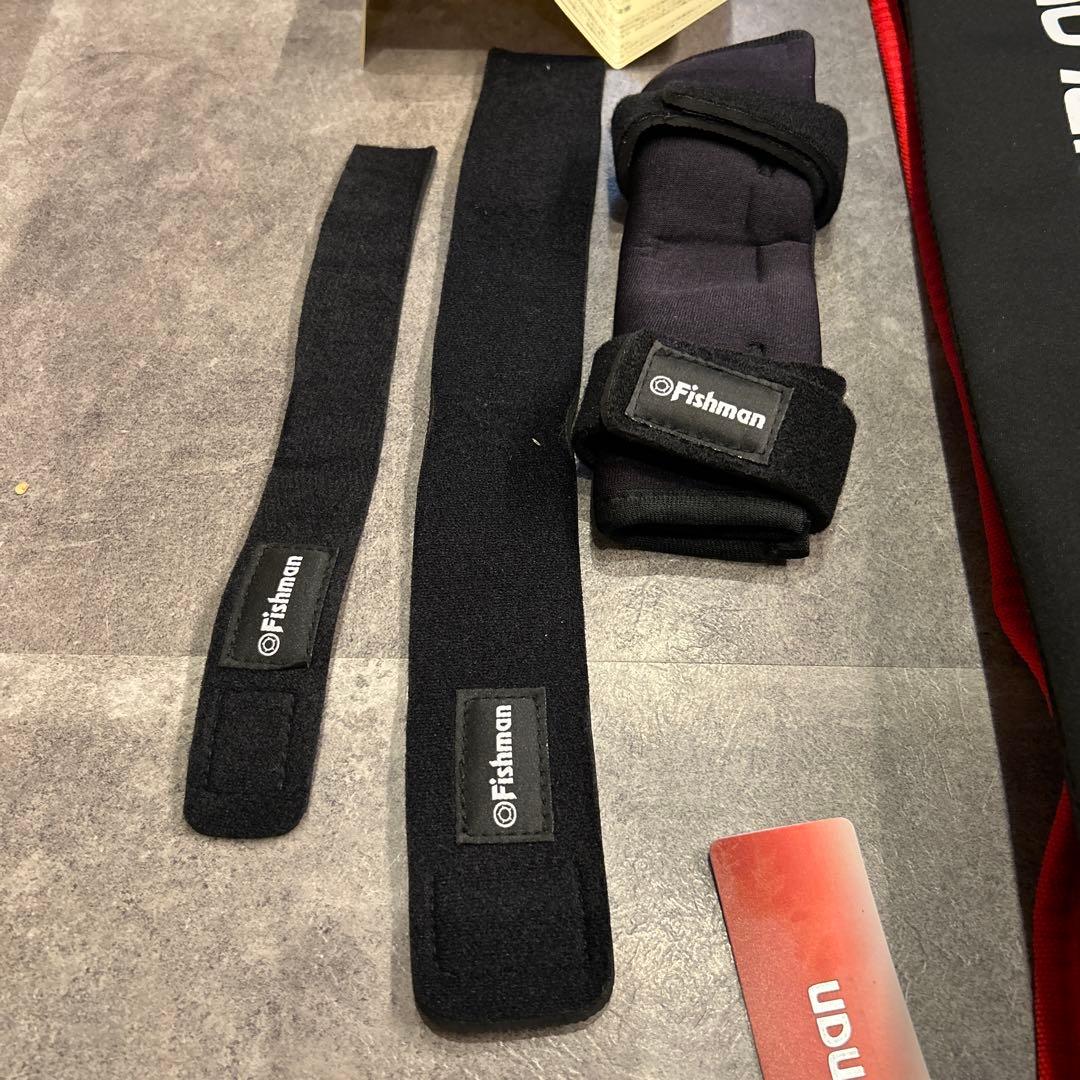 【美品】Fishman ビームスリプラウト9.0M+フィッシュマン