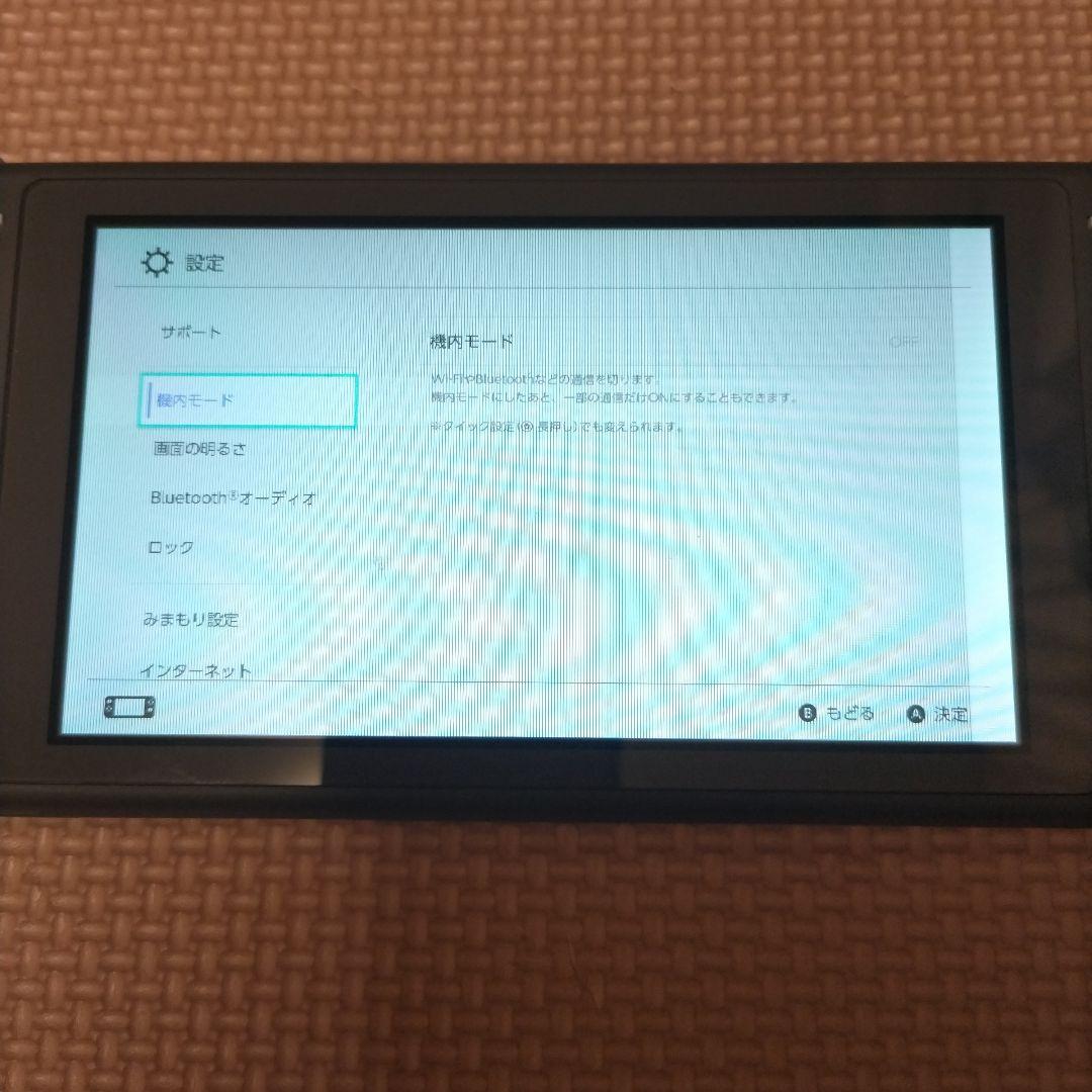 Nintendo Switch Lite グレー　画面要確認