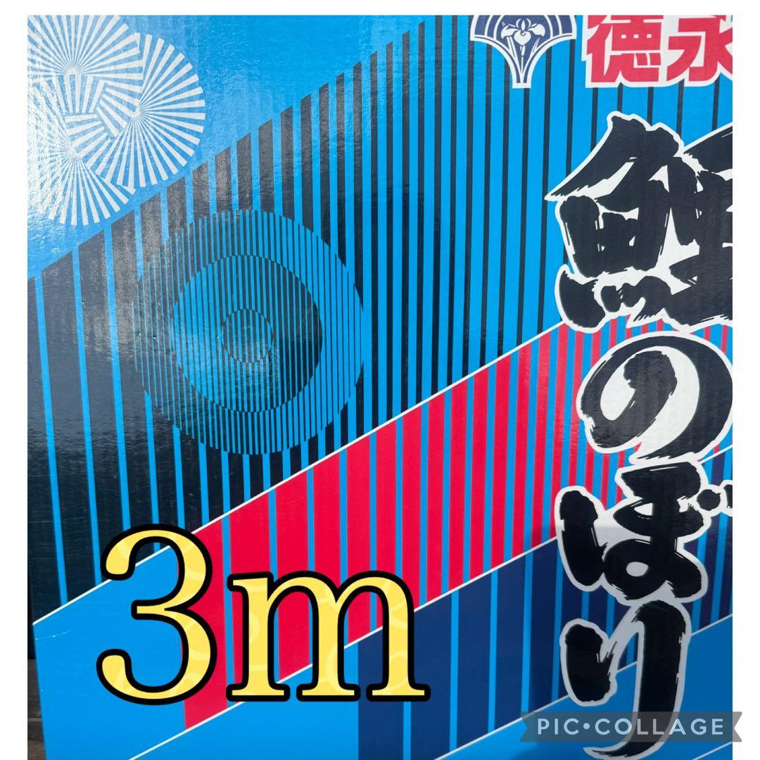 徳永こいのぼり 3m 友禅鯉　庭園セット