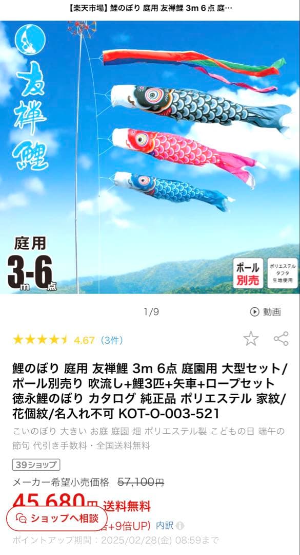 徳永こいのぼり 3m 友禅鯉　庭園セット