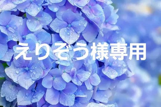 えりぞう【マスク】３種類セット