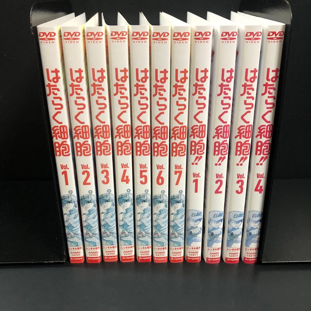 はたらく細胞 1期+2期 レンタルDVD アニメ 全巻セット