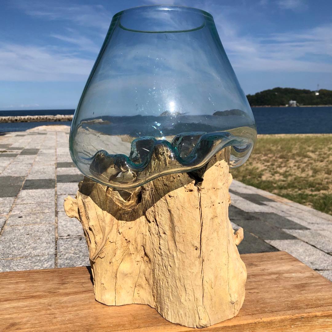 流木ガラス オブジェ特大V 花瓶 金魚鉢 ガーデニング テラリウム 観賞魚 容器