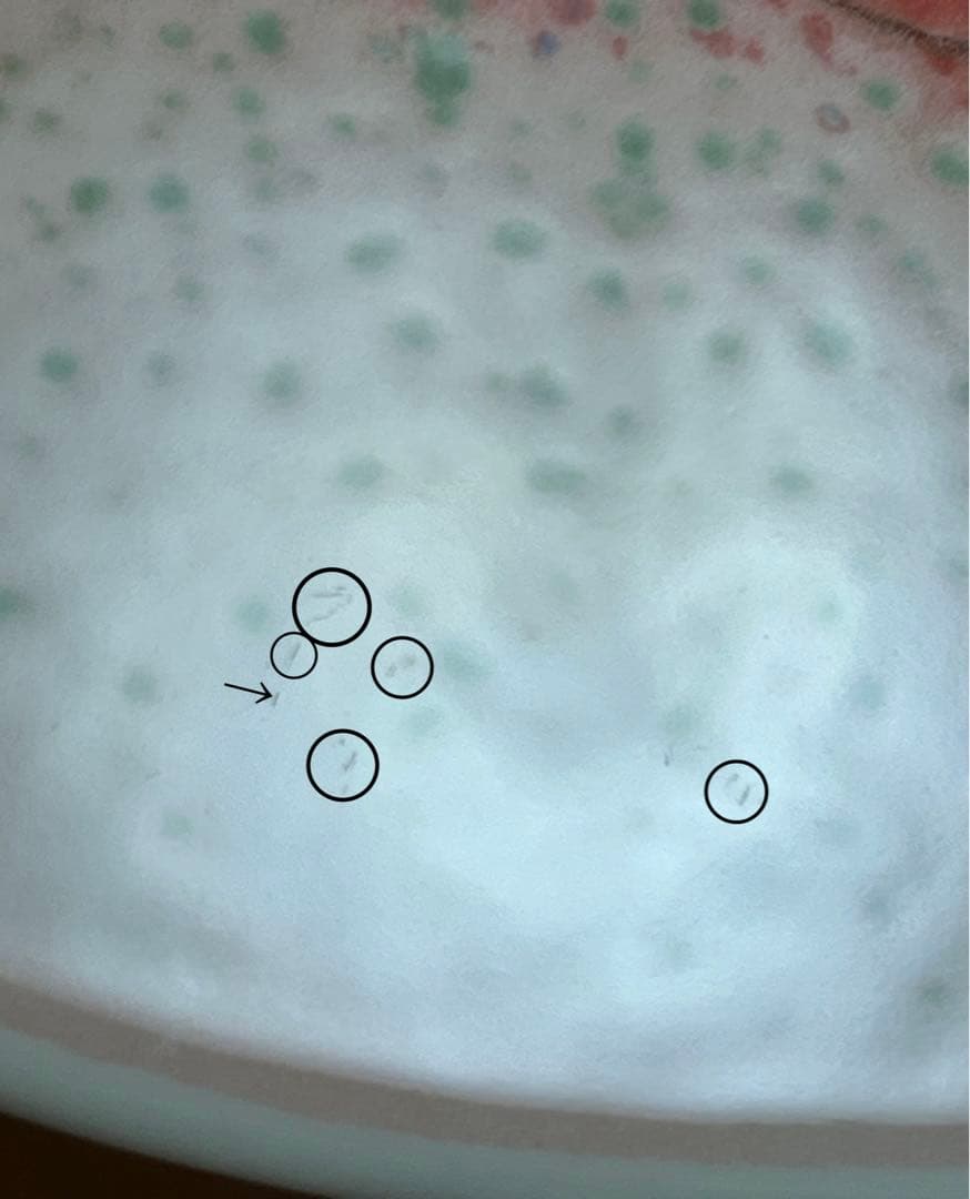 【希少品】ARABIA ヘルヤ \"Riemua rinnassa\" 陶板画