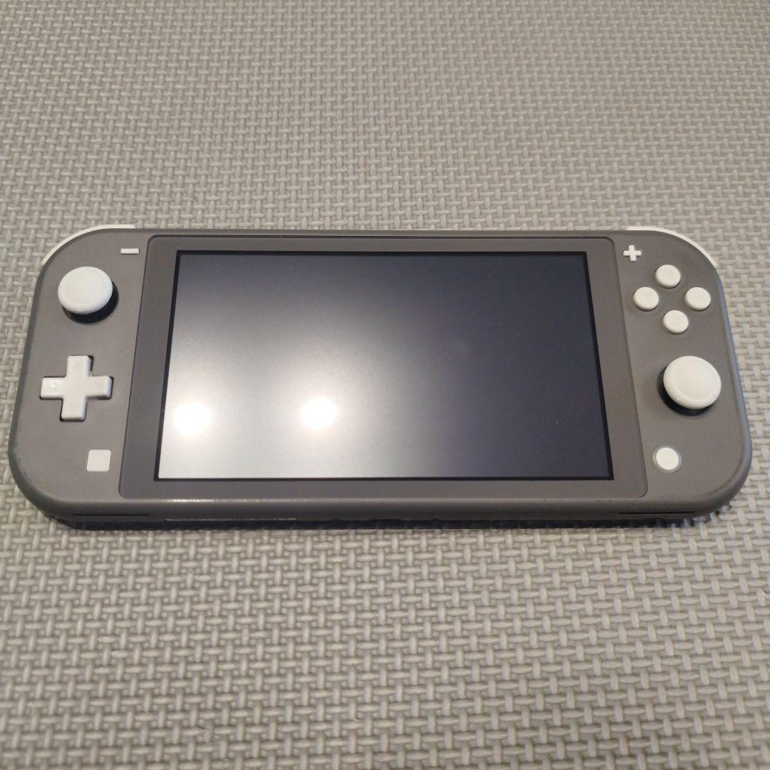 Nintendo Switch Lite　ACアダプターなし 動作確認済