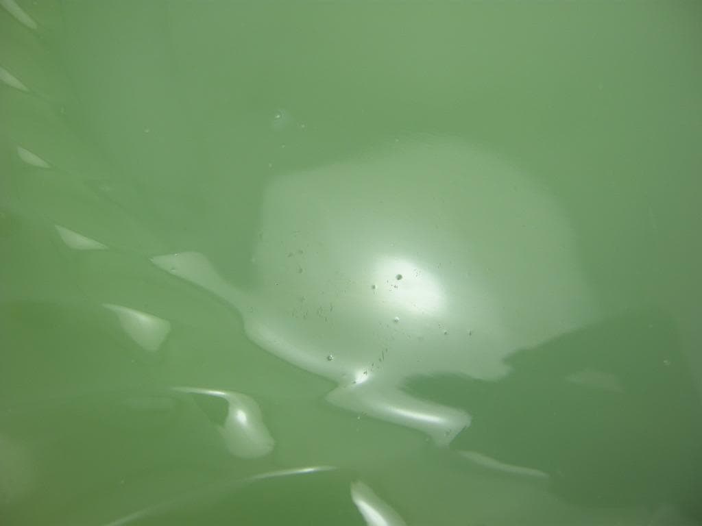 超美品! ファイヤーキング シェル オーバルプラッター ジェダイ No.002