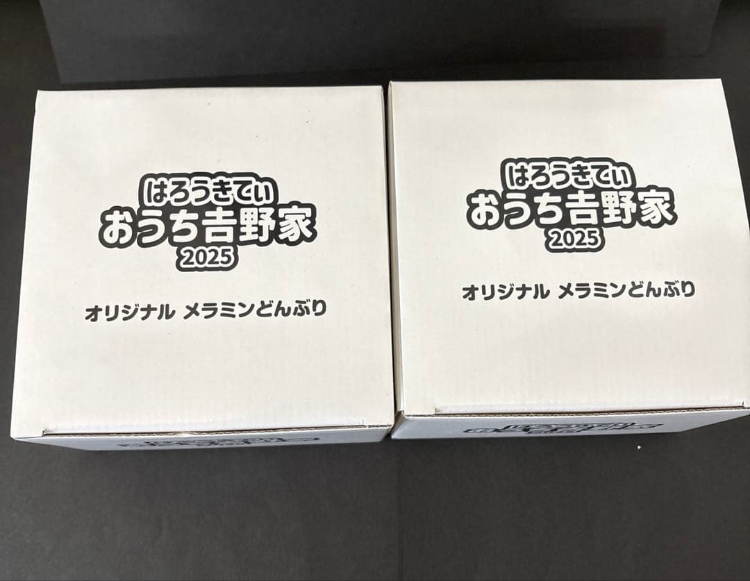 吉野家　はろうきてぃ おうちで吉野家2025 どんぶり　キティ 2点セット
