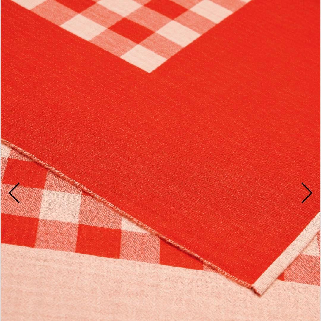 【新品】ami parisプレイド レッド コットン ビーチタオル