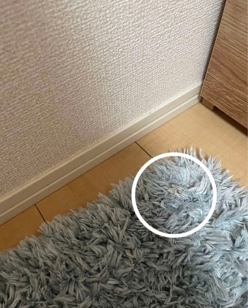 ナフコ カーペット シャギーラグ 200×240 ブルー