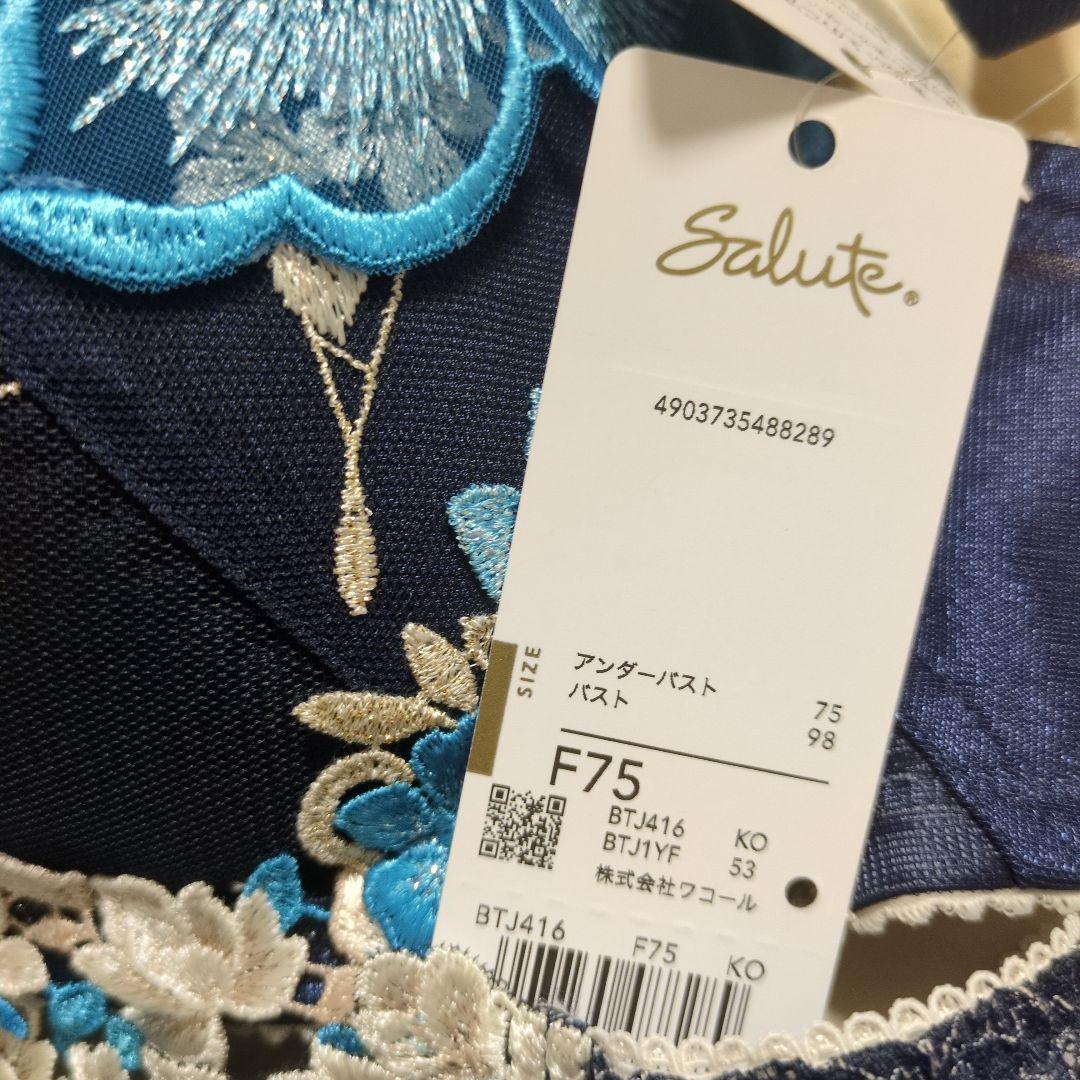 サルートのセット