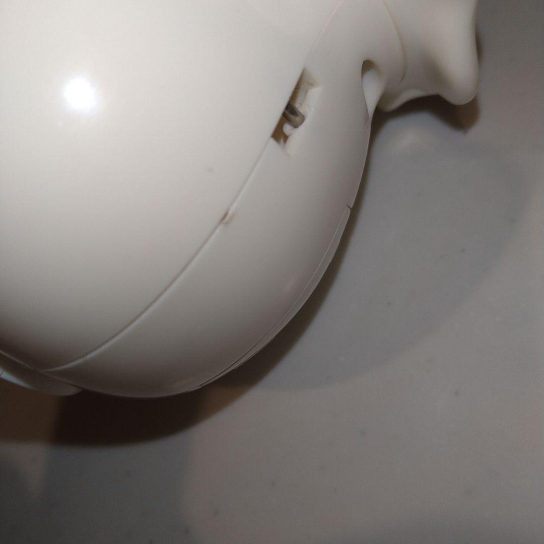 希少　まめゴマ飼育日記