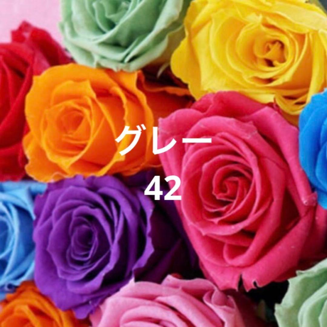 新品タグ付【'S MAX MARA】42クチートアマーノグレーベルテッドシルク