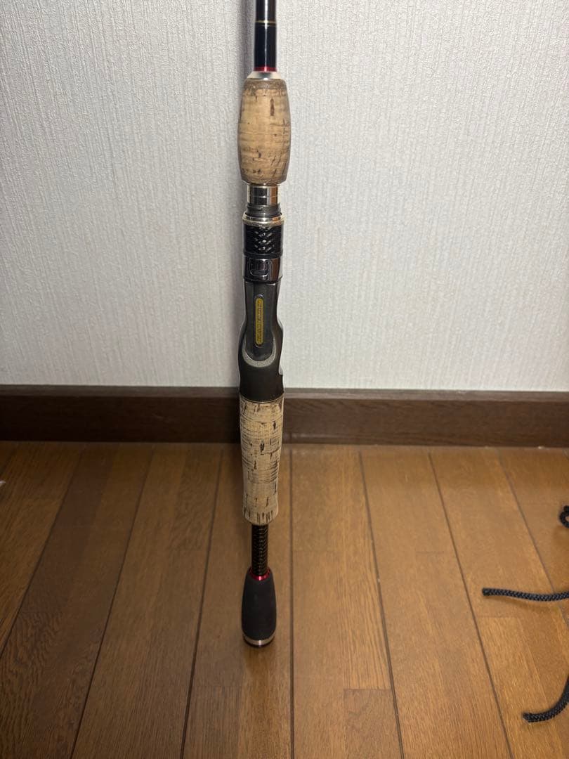 エバーグリーン　カレイド　デジーノスティングレイ66