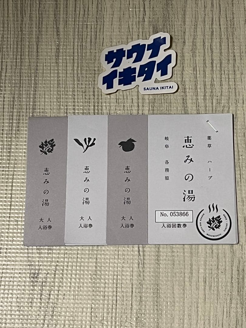 恵みの湯回数券10枚　+大垣サウナ利用券2枚