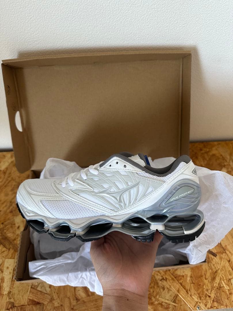 靴 MIZUNO WAVE PROPHECY LS 24cm