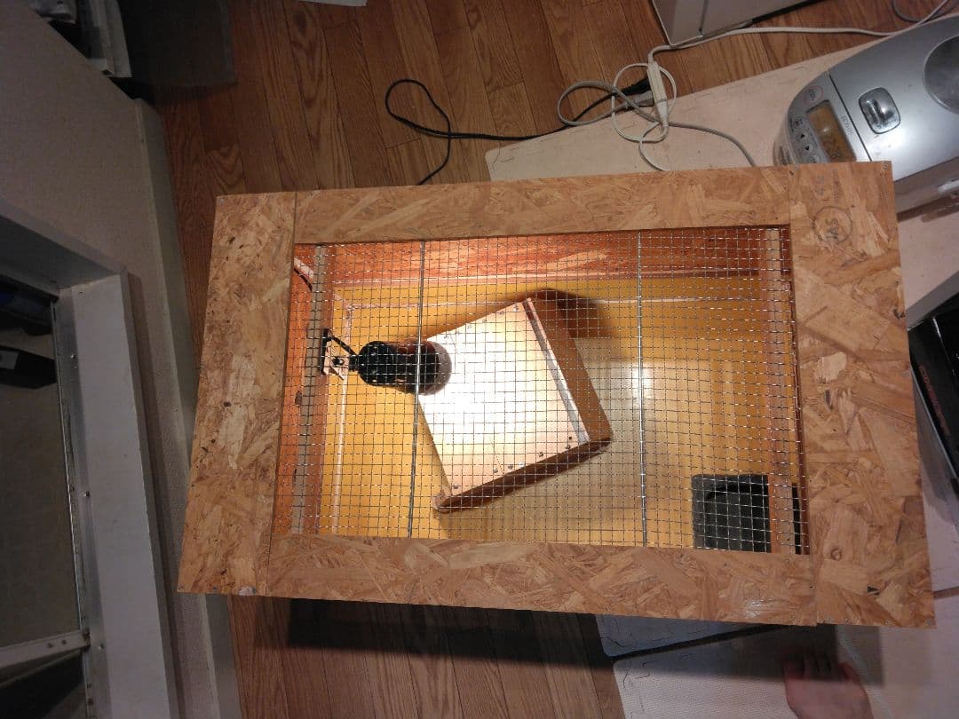 ラスト！大型爬虫類ケージ