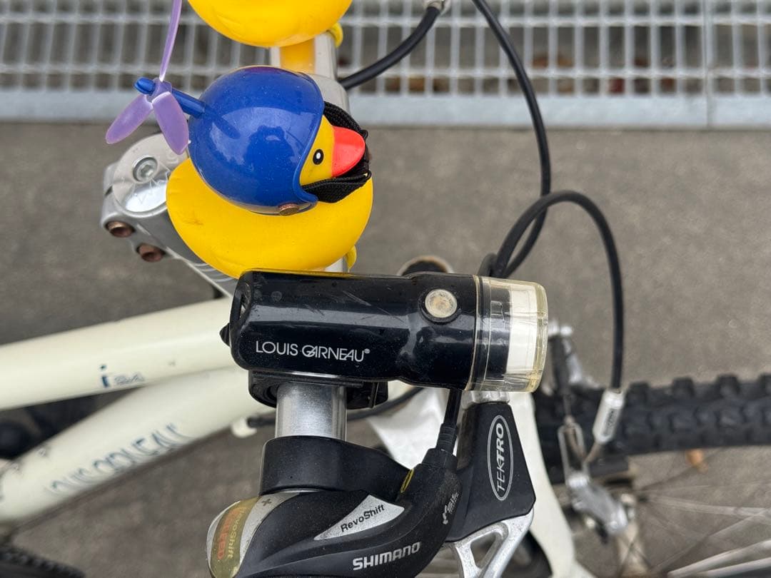 ルイガノ２４インチ（ヘルメット付き）