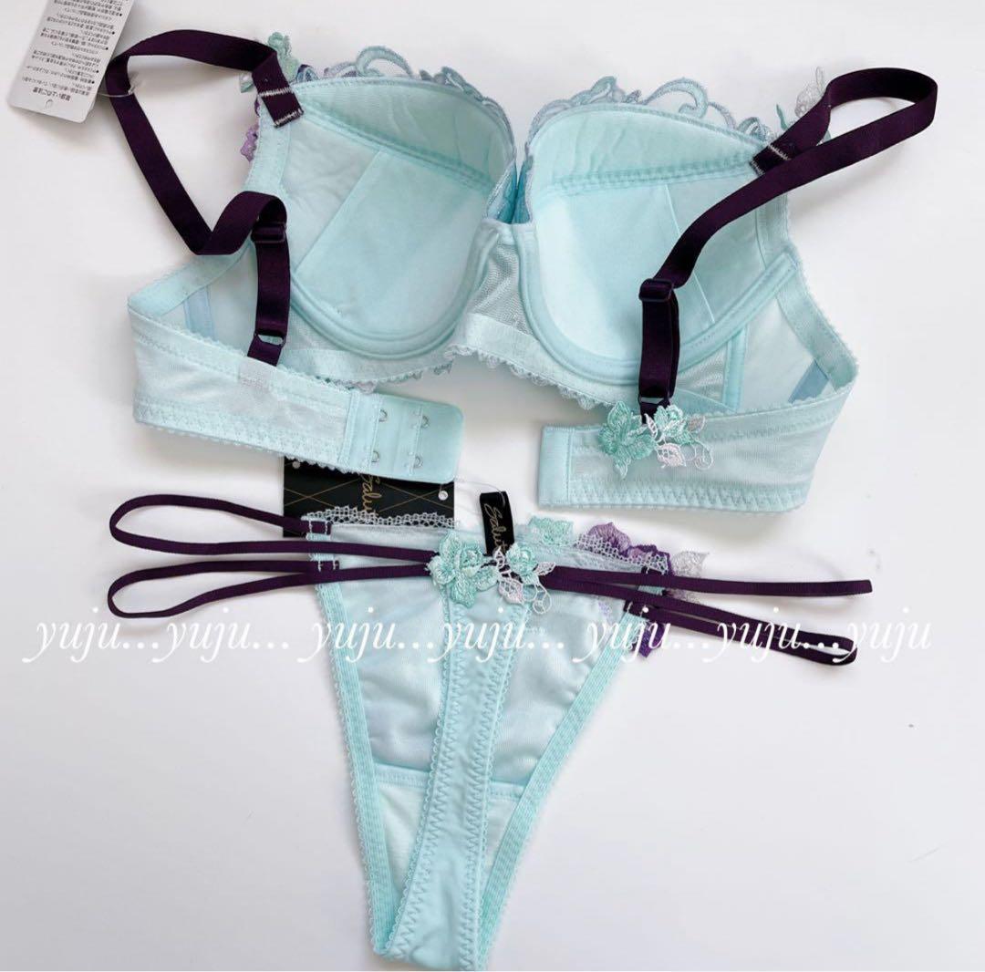 ワコール/サルート 66グループ 新品タグ付 P-upブラTバックD65 TU