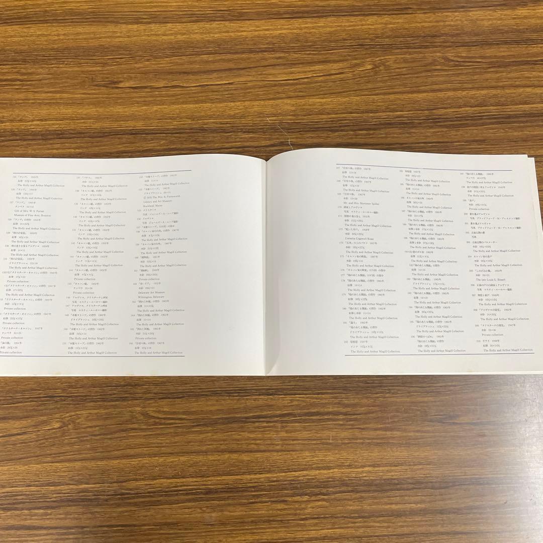 ワイエス 画集Ⅱ 『クリスチーナの世界』