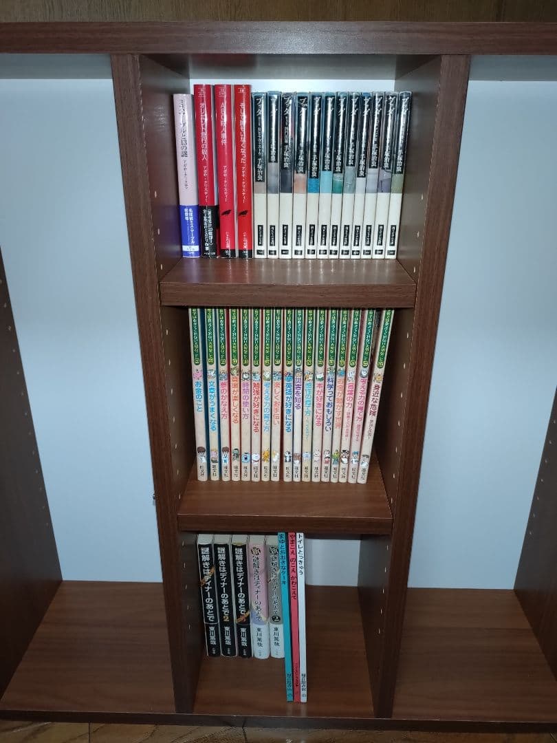 arne 本棚 オープンシェルフ 薄型 スリム ラック 木製 可動棚 アーネ