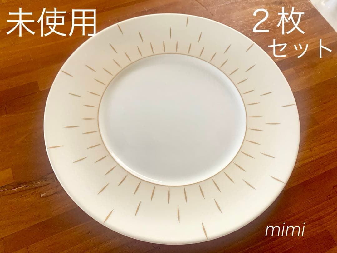 【未使用】本日のみ⭐︎2枚セット　希少　ジャンルイコケ　プレート　ディナー