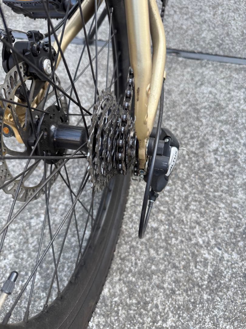 直接ひきとり引き取り限定Tern （ターン）AMP F1 460 ミニベロ