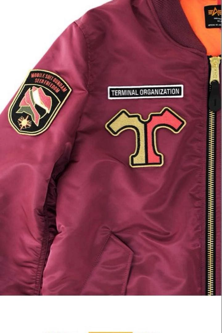 STRICT-G ALPHA『ガンダム SEED FREEDOM』アスラン・ザラ