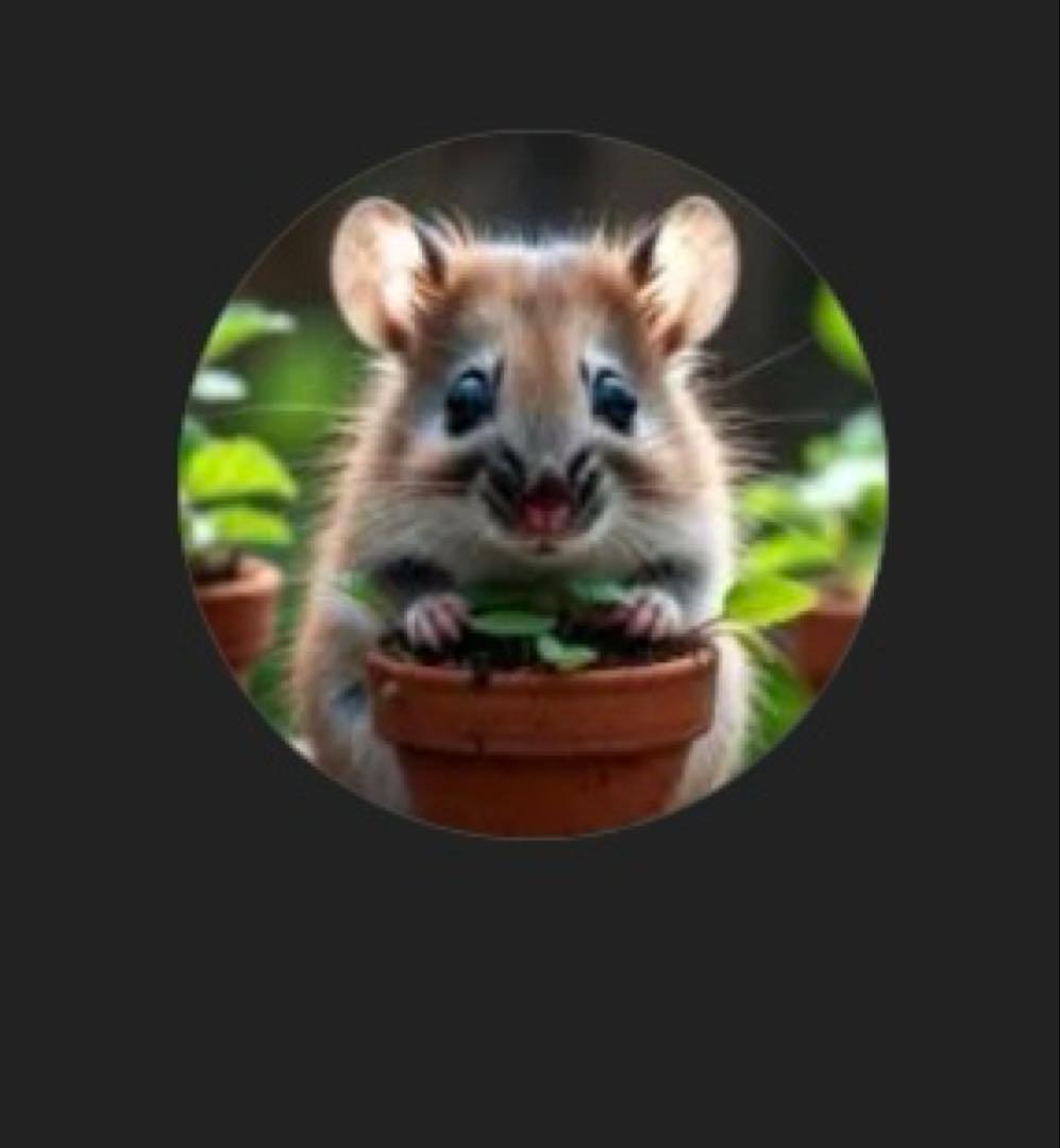 ジャケット・アウター N_PLANTS