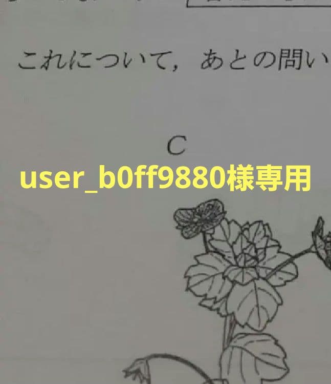 語学・辞書・学習参考書 user_b0ff9880
