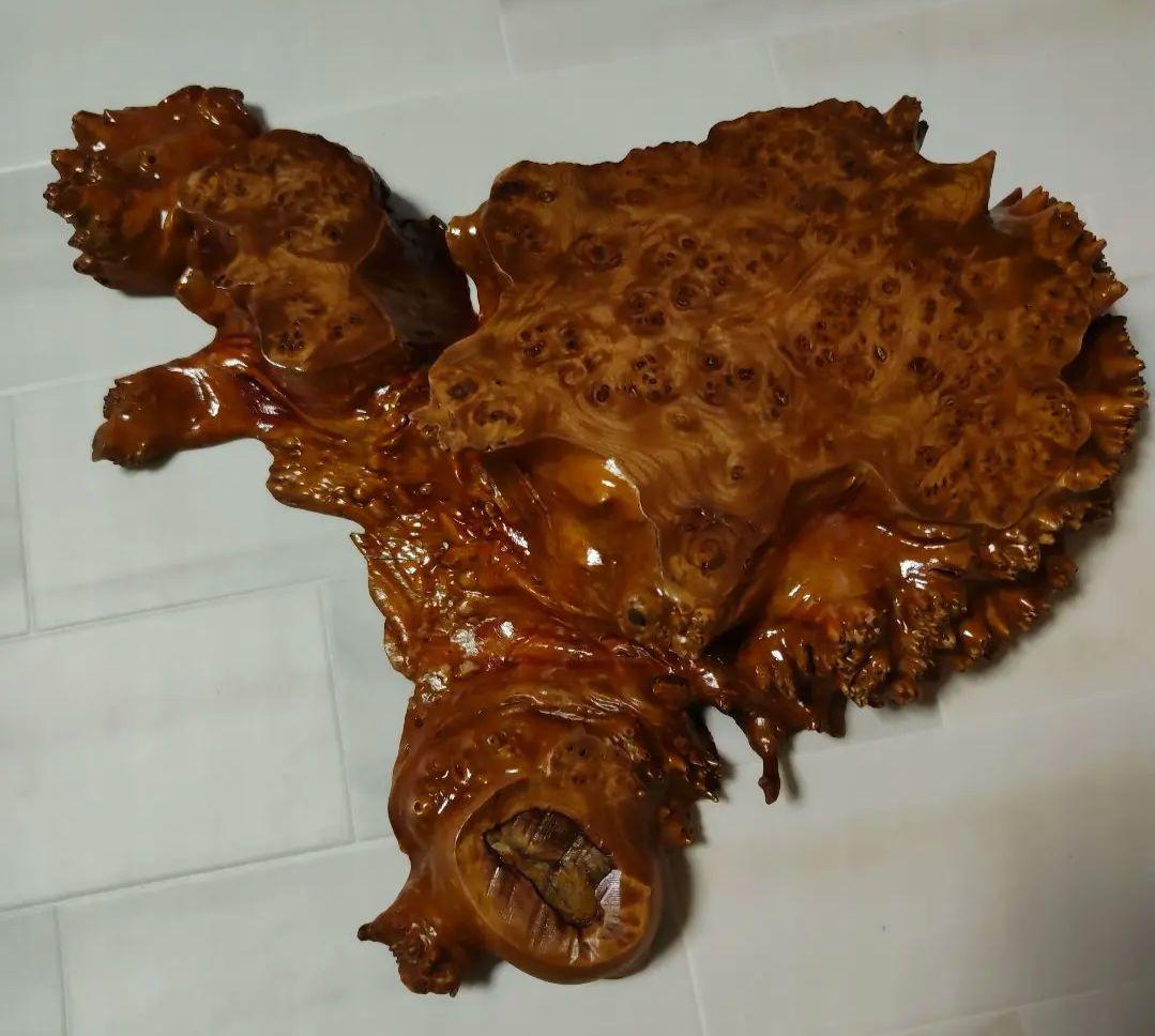 最高品質　天然木　玉杢　瘤　原木　盆栽台　花台