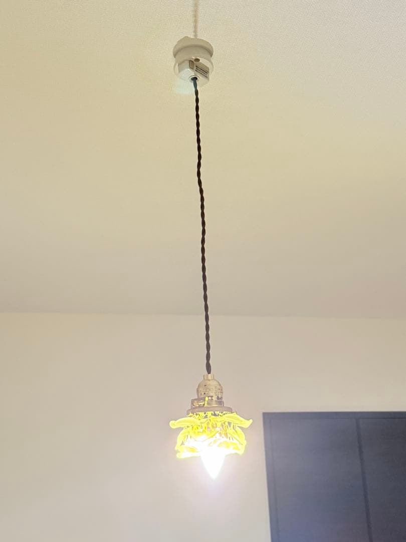 【最高峰の芸術】フランス製 アールデコ期 薔薇型 ガラスペンダントランプ 希少