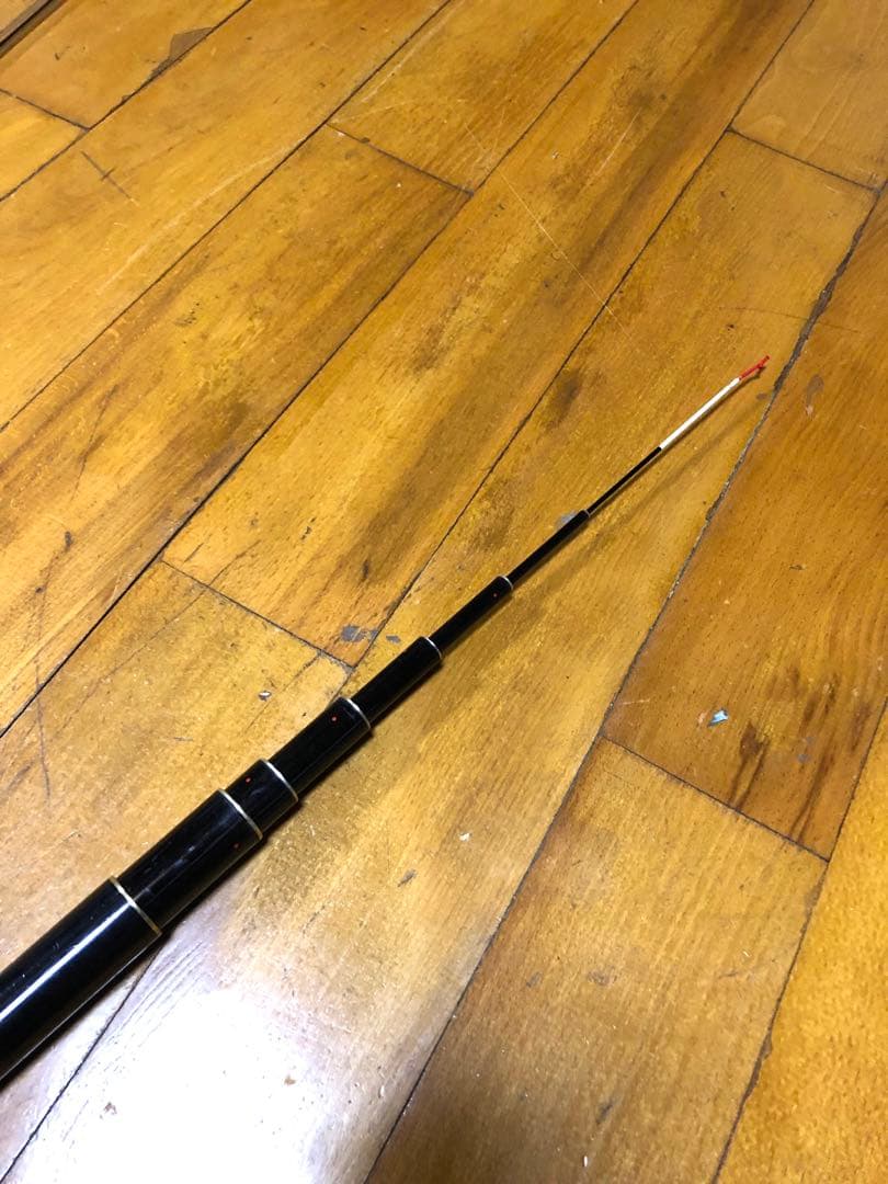 Daiwa ダイワ 鮎竿 銀影VIP 中硬硬 100 ロッド 釣竿